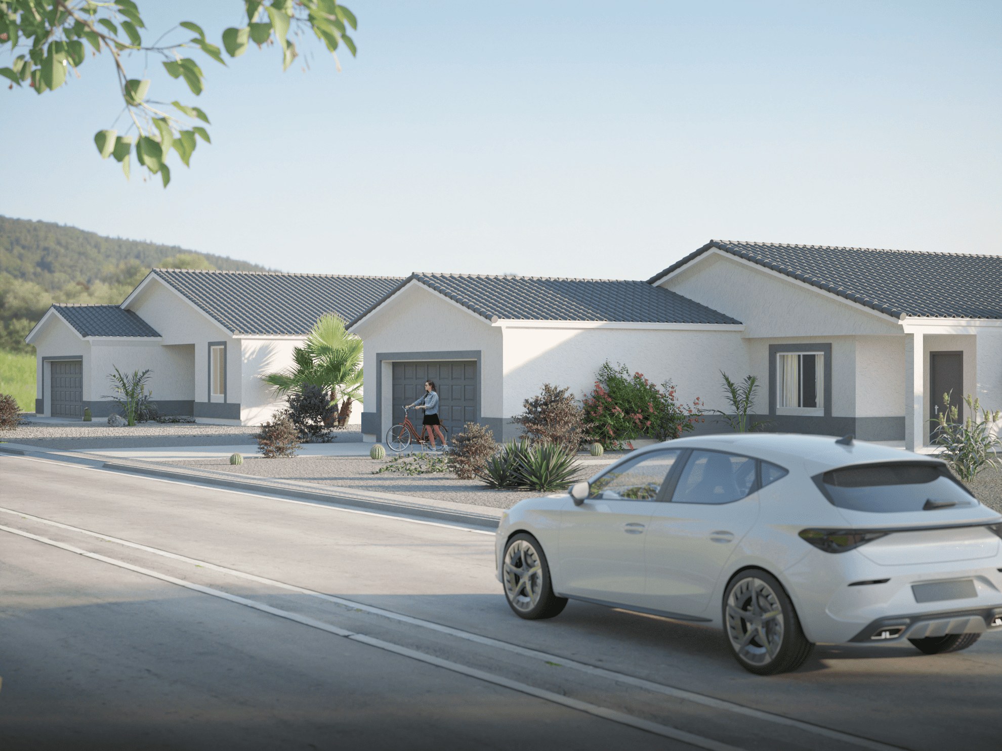 Suburban Bungalow Development